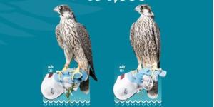 مزاد نادي الصقور.. بيع صقرين بـ 191 ألف ريال في الليلة الـ 19 - اليوم الإخباري