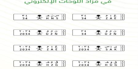 المزاد الإلكتروني يحتفي بكأس العالم 2034 بطرح لوحات مميزة - اليوم الإخباري