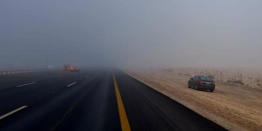 طقس الصباح الباكر.. انتشار الضباب على أجزاء من 5 مناطق - اليوم الإخباري