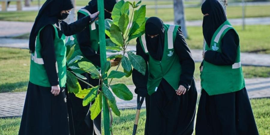 صور.. زراعة 34 ألف شجرة ضمن مبادرة “شرقيتنا خضراء” بالقطيف - اليوم الإخباري