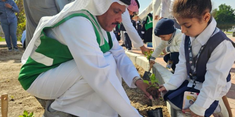 صور| زراعة 350 شجرة “لوز قطيفي” لزيادة الرقعة الخضراء بصفوى - اليوم الإخباري