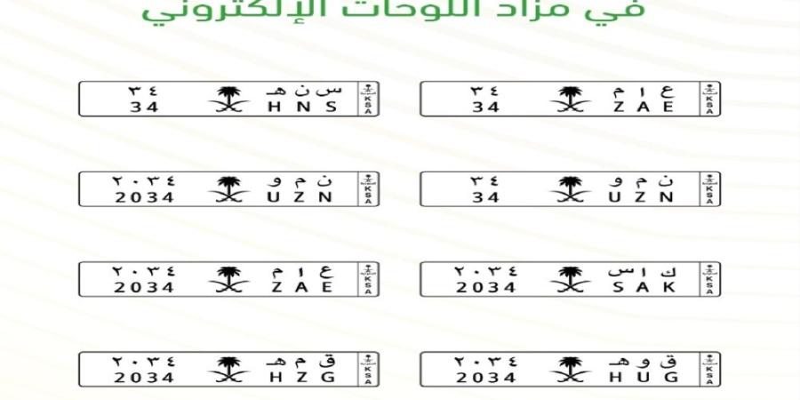 المزاد الإلكتروني يحتفي بكأس العالم 2034 بطرح لوحات مميزة - اليوم الإخباري